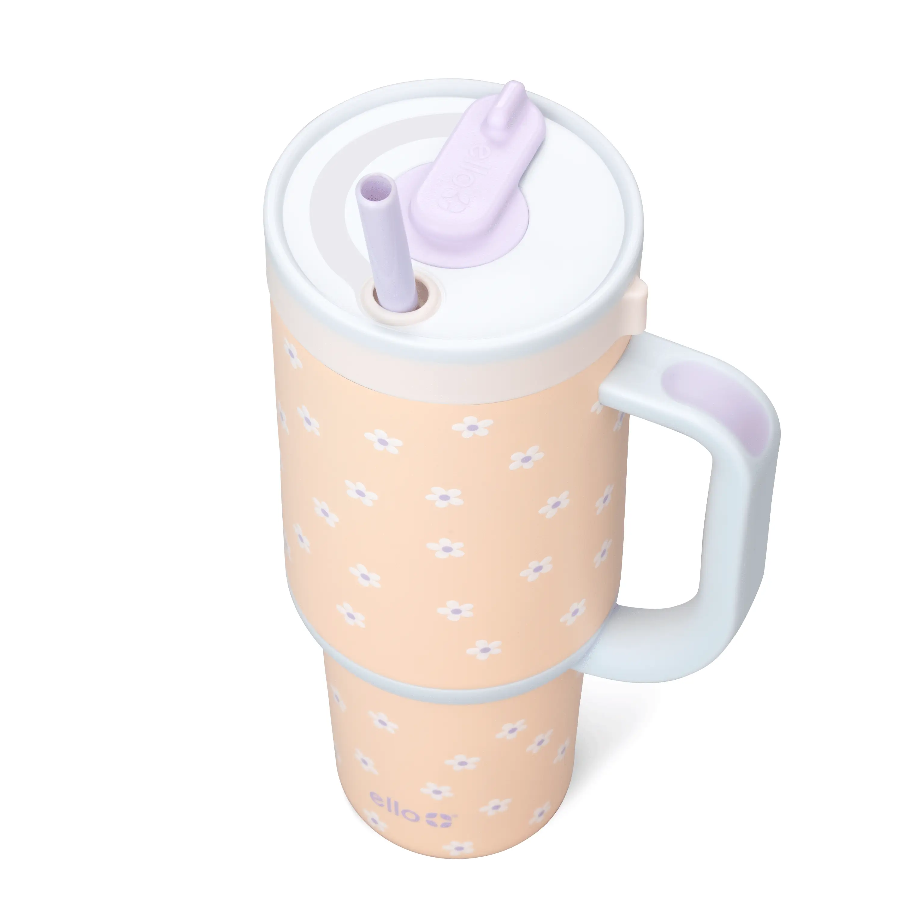 The Daisy Bundle